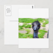 glimlachen briefkaart (Voorkant / Achterkant)