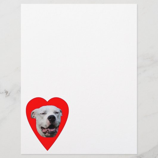 glimlachen Dogo Argentino (Voorkant)
