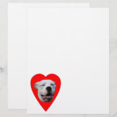 glimlachen Dogo Argentino (Voorkant / Achterkant)