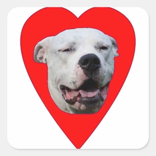 glimlachen Dogo Argentino Vierkante Sticker (Voorkant)