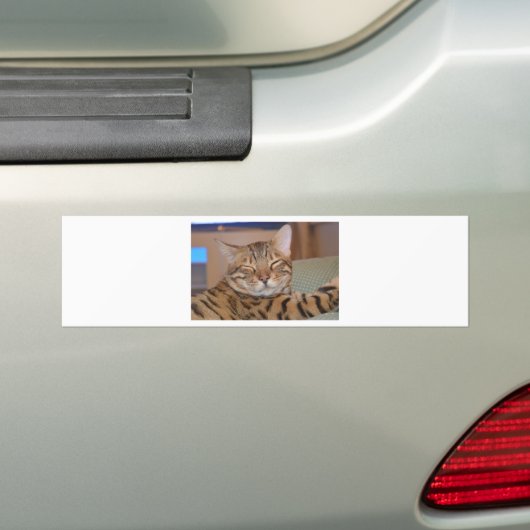 glimlachen in de Bengaals Bumpersticker (Op auto)