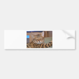 glimlachen in de Bengaals Bumpersticker