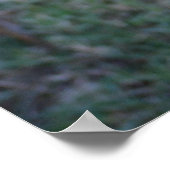 glimlachen Jack Russell Terrier Poster (Hoek)