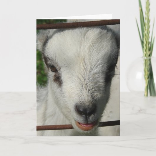 glimlachen kaart (Voorkant)