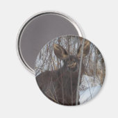 glimlachen magneet (Voorkant / Achterkant)