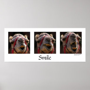 glimlachen poster