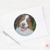 glimlachen Red Tri Aussie Ronde Sticker (Envelop)