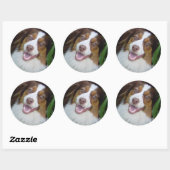 glimlachen Red Tri Aussie Ronde Sticker (Vel)