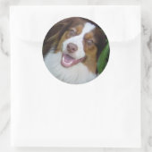 glimlachen Red Tri Aussie Ronde Sticker (Tas)