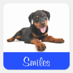 Glimlachen Rottweiler Puppies Hond Kaart Sticker