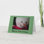glimlachen Snowman Feestdagen Kaart<br><div class="desc">Een prachtige glimlachende sneeuwkraan van de voorkant van deze kerstkaart!</div>