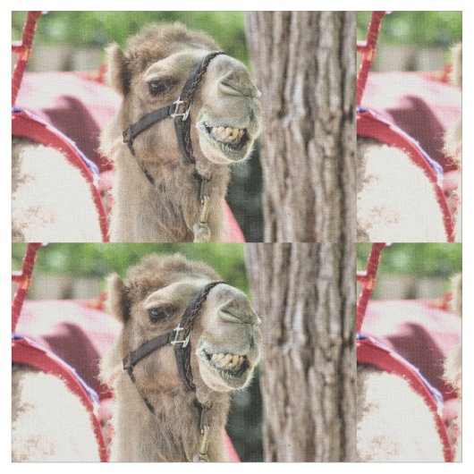 glimlachen stof (Close Up)