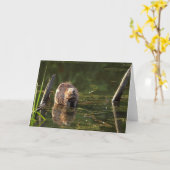 glimlachen van bever kaart (Gele Bloem)