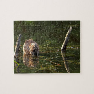 glimlachen van bever legpuzzel