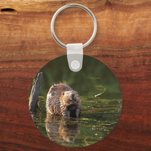 glimlachen van bever sleutelhanger (Voorkant)