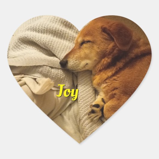 glimlachen van Dog Heart Sticker (Voorkant)