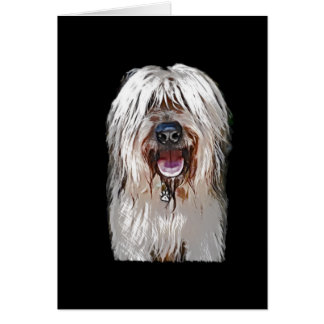 glimlachen van Fawn Briard