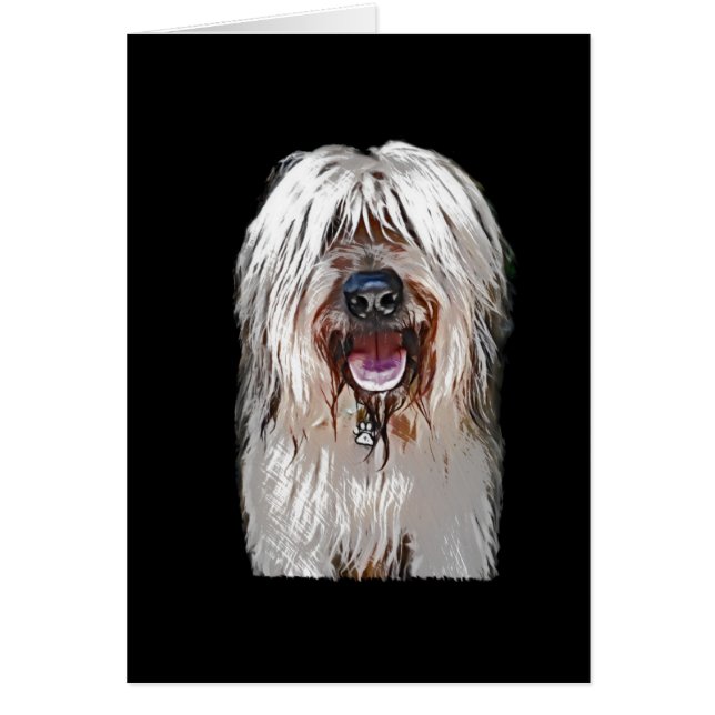 glimlachen van Fawn Briard (Voorkant)