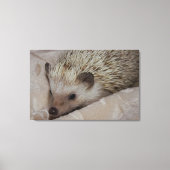 glimlachen van hedgel canvas afdruk (Voorkant)