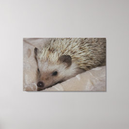 glimlachen van hedgel canvas afdruk