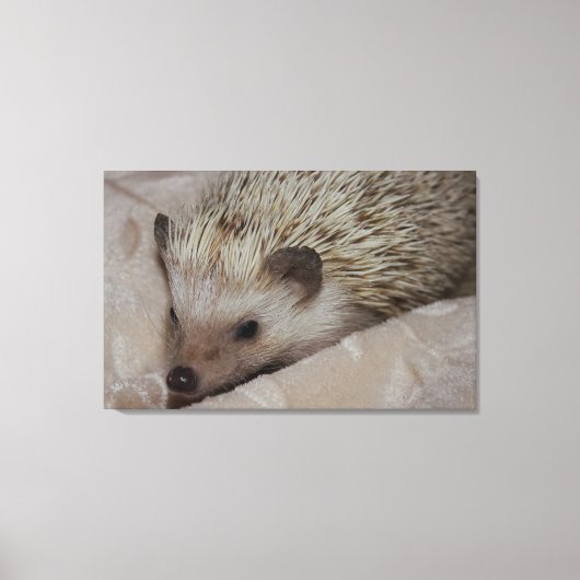 glimlachen van hedgel canvas afdruk (Voorkant)