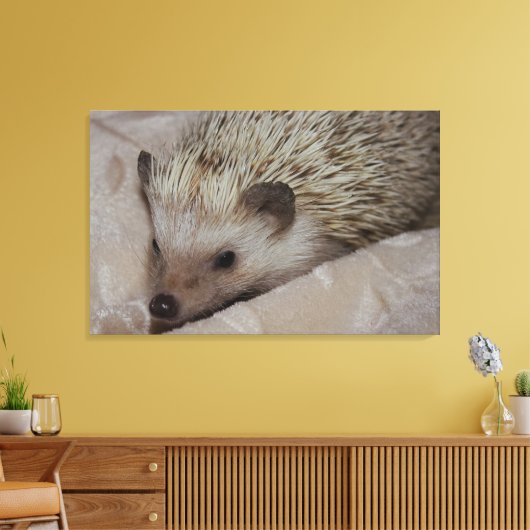glimlachen van hedgel canvas afdruk (Insitu (Woonkamer))