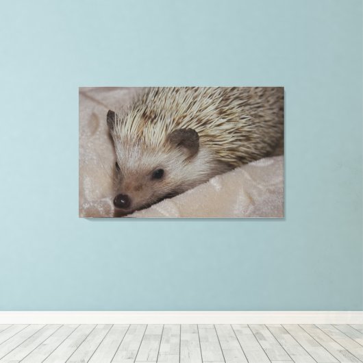 glimlachen van hedgel canvas afdruk (Insitu (Houten vloer))