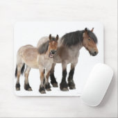 glimlachen van moeder en vee, Belgisch paard, Belg Muismat (Met muis)