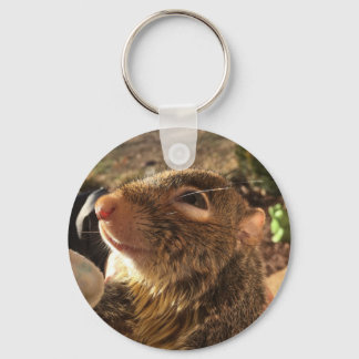 glimlachen van tumbleweed sleutelhanger