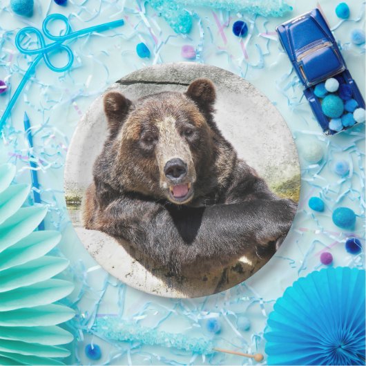 glimlachen van verjaardagsbeer papieren bordje (Feest)