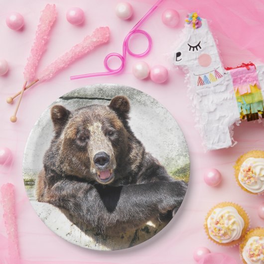 glimlachen van verjaardagsbeer papieren bordje (Feest)