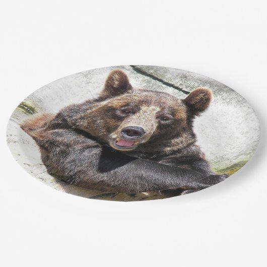 glimlachen van verjaardagsbeer papieren bordje (Gekanteld)