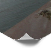 glimlachen van zeemeeuw poster (Hoek)