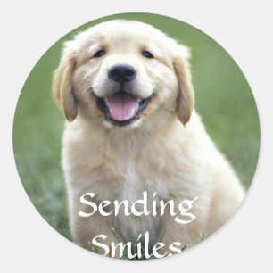 Glimlachen verzenden Gouden Retriever Puppy Hond S Ronde Sticker