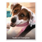 glimlachen zijn besmettelijke glimlachende hond foto afdruk (Voorkant)