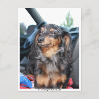 glimlachend doxie, The Traveling Dachshund, Vereni Briefkaart