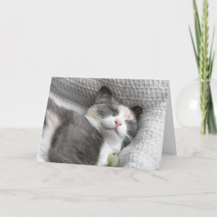 Glimlachend Kat Dankjewel Card Bedankkaart