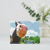 Glimlachend Paard Briefkaart (Staand voorkant)