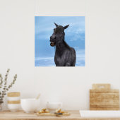 Glimlachend Paard Poster (Keuken)
