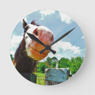 Glimlachend Paard Ronde Klok