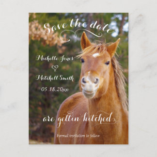 Glimlachend Paard Save the Date Briefkaarten