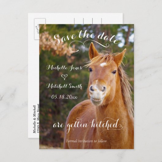 Glimlachend Paard Save the Date Briefkaarten (Voorkant / Achterkant)