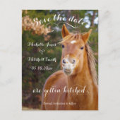 Glimlachend Paard Save the Date Briefkaarten (Voorkant)