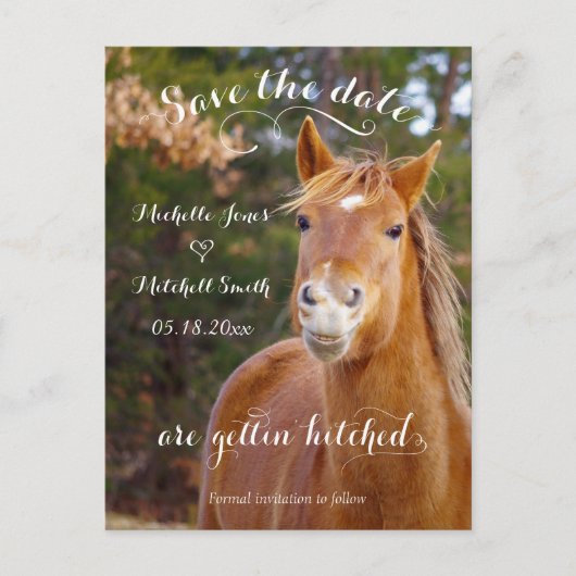 Glimlachend Paard Save the Date Briefkaarten (Voorkant)