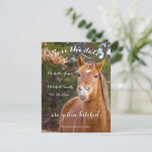 Glimlachend Paard Save the Date Briefkaarten (Staand voorkant)