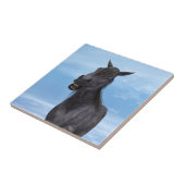 Glimlachend Paard Tegeltje (Zijkant)