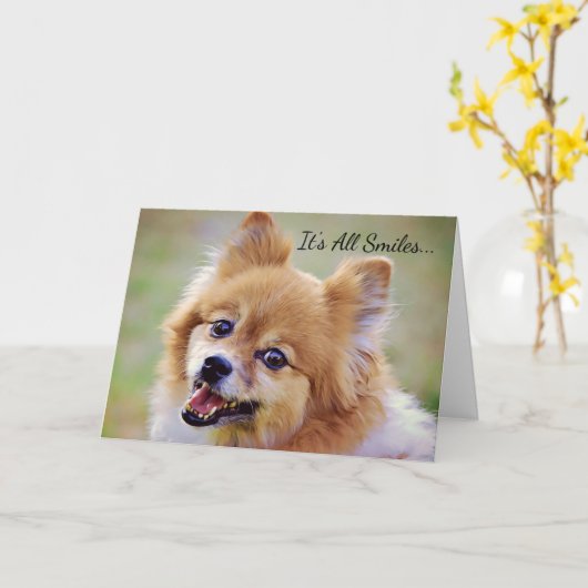 glimlachend Pommeren Birthday Kaart (Gele Bloem)