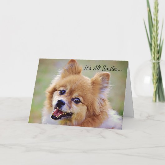 glimlachend Pommeren Birthday Kaart (Voorkant)