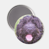 glimlachend puppy magneet (Voorkant / Achterkant)