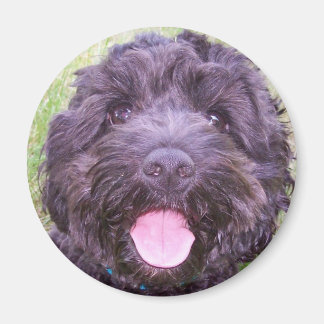 glimlachend puppy magneet